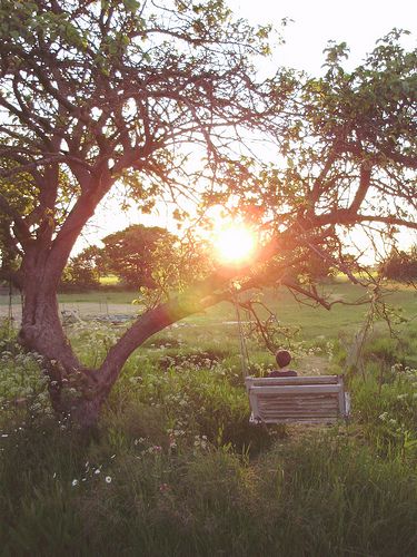 Country summer outlet